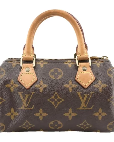 Louis Vuitton Nano Speedy